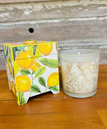 Boxed - Lemon Basil 6.5oz Candle that Burns 40 Hours in Key West, FL | Petals & Vines
