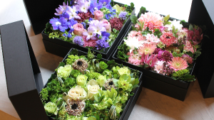Boxified  Fresh flowers in gift box