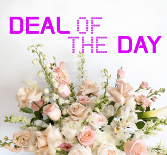 DEAL OF THE DAY  BOUQUET