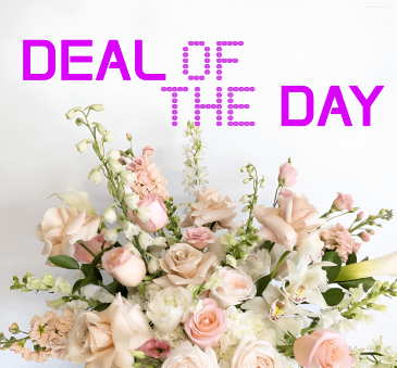 DEAL OF THE DAY  BOUQUET in Toronto, ON | PERCY WATERS FLORIST