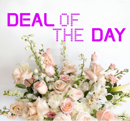 DEAL OF THE DAY  BOUQUET