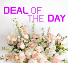 DEAL OF THE DAY  BOUQUET
