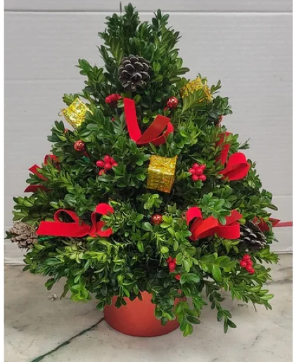 Boxwood Christmas Tree 