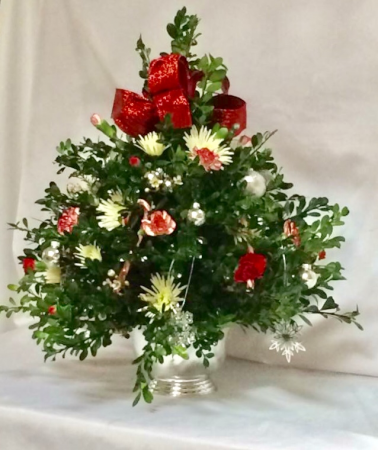 Boxwood Christmas Tree