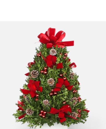 Boxwood Christmas Tree Table top - decorations may vary