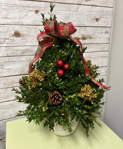 Boxwood Christmas Tree Tabletop Christmas Tree