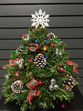 Boxwood Holiday Tree Holiday