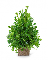 Boxwood Simplicity Tree Flower Arrangement