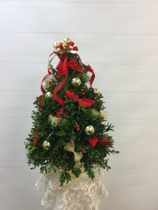 Large Boxwood Tree