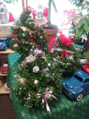 Boxwood Tree Arrangements Holiday Gift