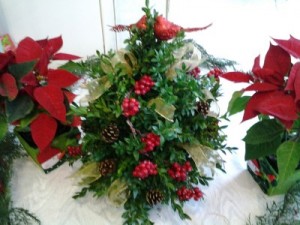 Boxwood Tree Boxwood Tree in Darien, CT | DARIEN FLOWERS Boxwood Tree Boxwood Tree in Darien, CT | DARIEN FLOWERS