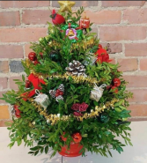 Boxwood tree Christmas
