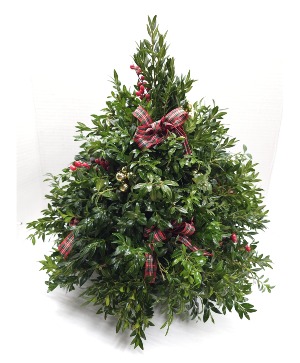 Boxwood Tree christmas
