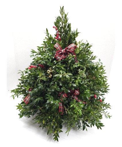 Boxwood Tree christmas