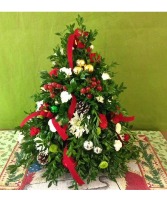 Boxwood Tree Christmas