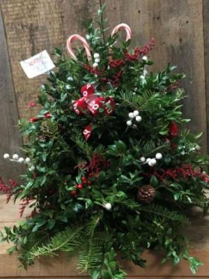 Christmas boxwood deals