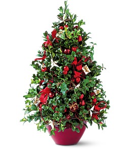 Boxwood Tree Christmas-Holiday