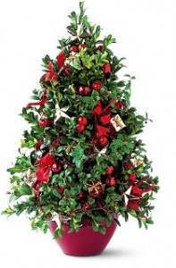 Boxwood Tree Decorated Christmas Arrangement