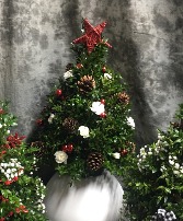 Boxwood Tree flower arr. 