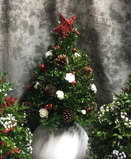 Boxwood Tree flower arr. 