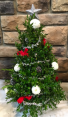 Boxwood Tree Fresh Arrangement