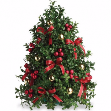 Boxwood Tree Non- fragrance Table top tree