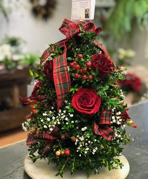 Boxwood tree with red roses medium but grand