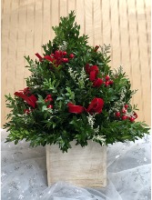 Boxwood Tree WOODBURY'S ORIGINAL