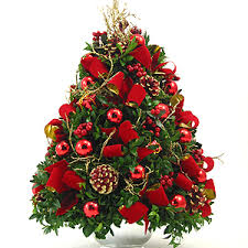 Boxwood Tree1 christmas
