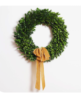 Boxwood Wreath  Wreath 