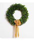 Boxwood Wreath  Wreath 