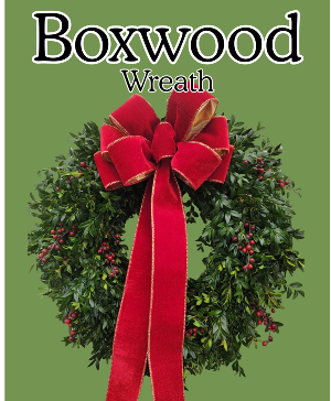 Boxwood wreath wreath
