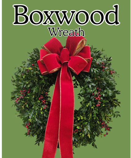 Boxwood wreath wreath
