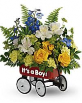 Boy/ Girl Wagon Baby