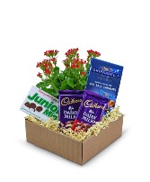 Boy Meets World Basket Flower Arrangement