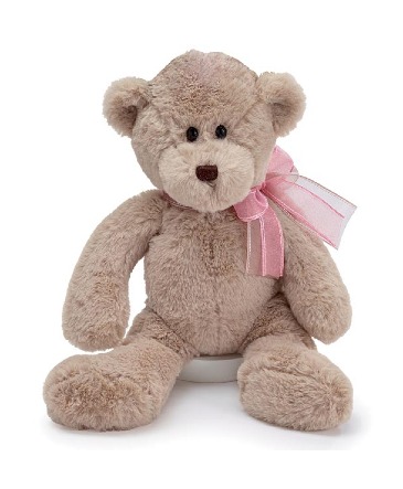  Soft &Cuddly Plush Bear in Whitesboro, NY | KOWALSKI FLOWERS INC.