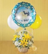 Boys are Best New Baby Boy Arrangement