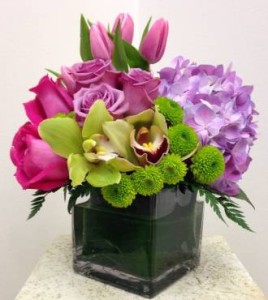 BREATH OF FRESH AIR Cymbidium Orchids, Hydrangea, Roses & Tulips in Worthington, OH | UP-TOWNE FLOWERS & GIFT SHOPPE BREATH OF FRESH AIR Cymbidium Orchids, Hydrangea, Roses & Tulips in Worthington, OH | UP-TOWNE FLOWERS & GIFT SHOPPE