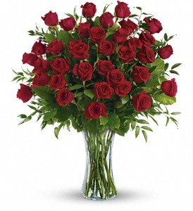 Breathtaking Beauty 3 Dozen Long Stemmed Roses in Winnipeg, MB | Ann's Flowers & Gifts