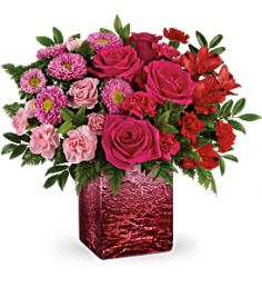 Category Image