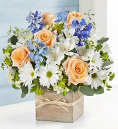 breeze from the coast arrangement 