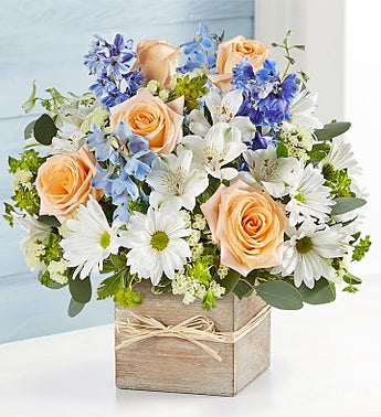 breeze from the coast arrangement