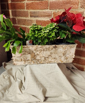 Brich Box Planter 