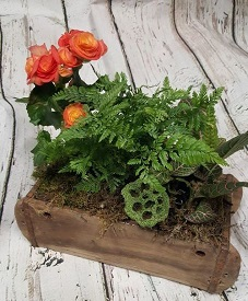 Brick Mould Garden Plants & Terrariums