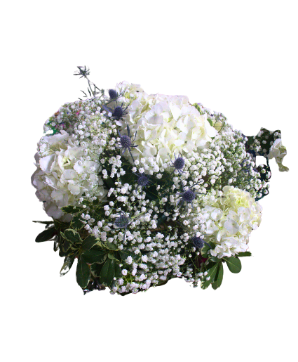 Bridal Bouquet White Hydrangea Accented With Blue