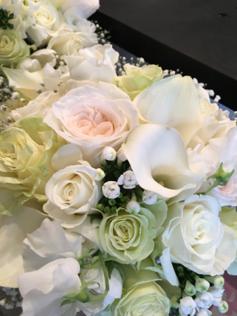 Bridal whites