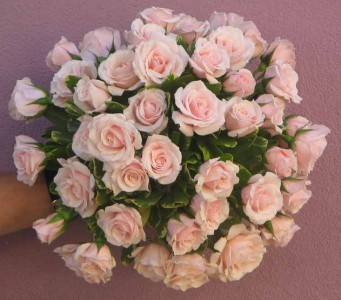 Bride 6 Bride Bouquets