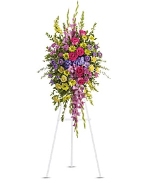 Bright and Beautiful Spray 