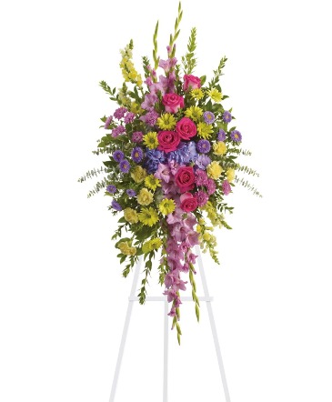 Bright and Beautiful Spray T249-3A in Waldorf, MD | Country Florist