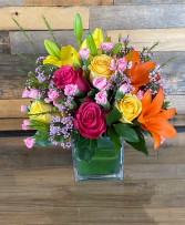 Bright and cheerful  